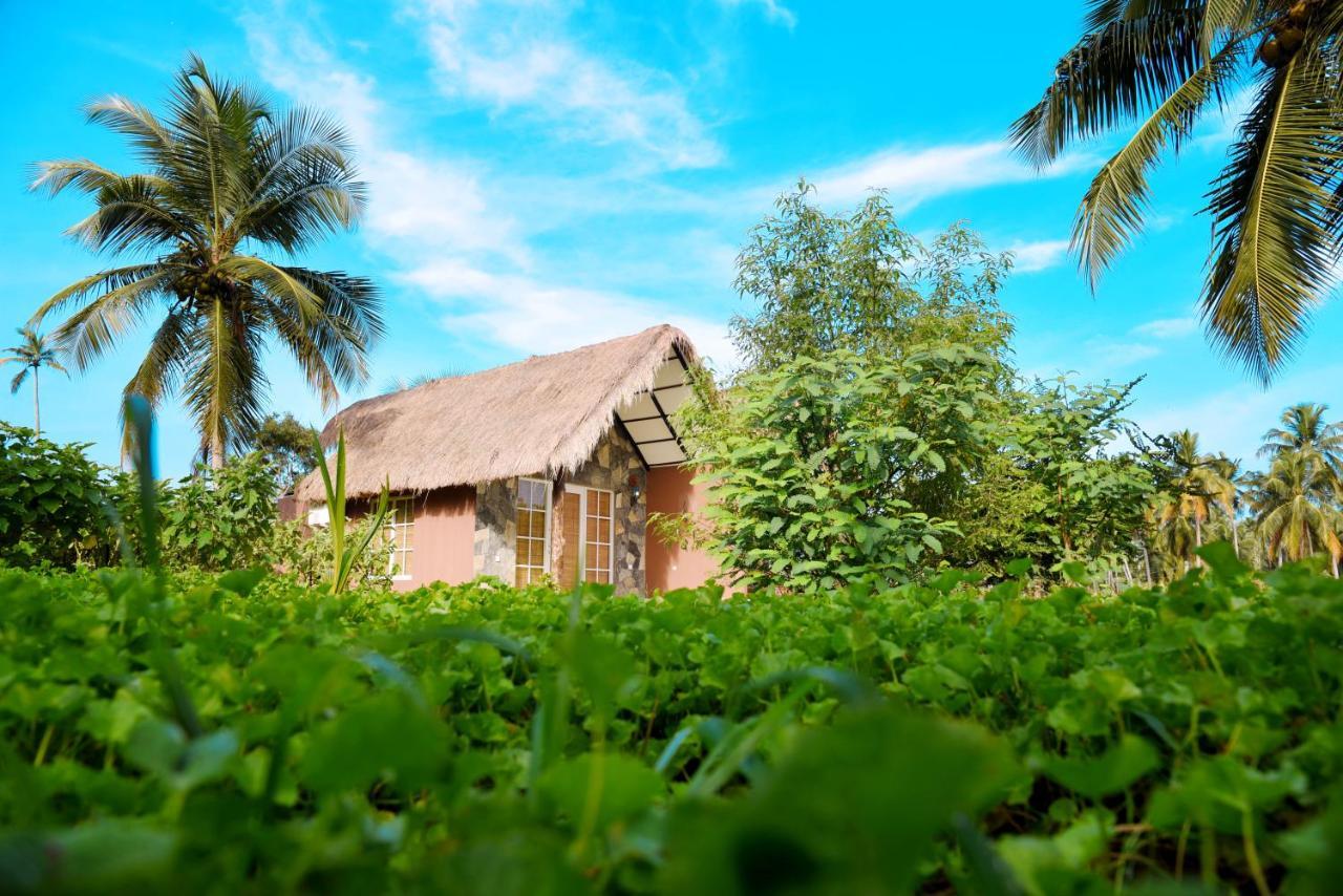Coco Village Hotel Chilaw Bangadeniya Extérieur photo